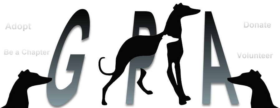 Threedogs - Greyhound Pets Of America (898x349), Png Download