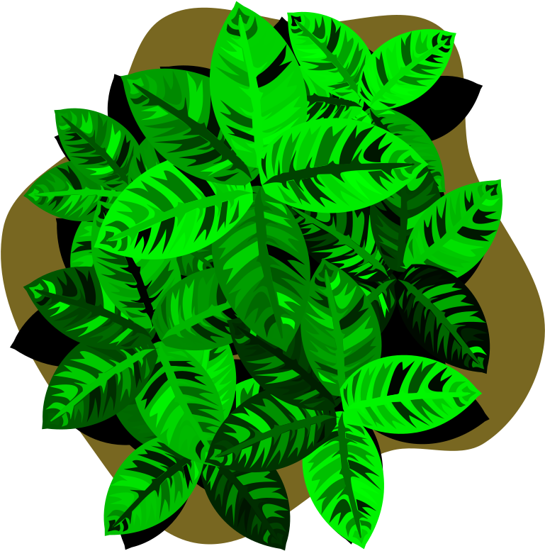 Four-leaf Clover Luck Lawn - Toronto (750x750), Png Download