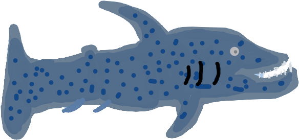 Dotted Greyhound Bullyshark Done Fauna - Whale Shark (800x600), Png Download