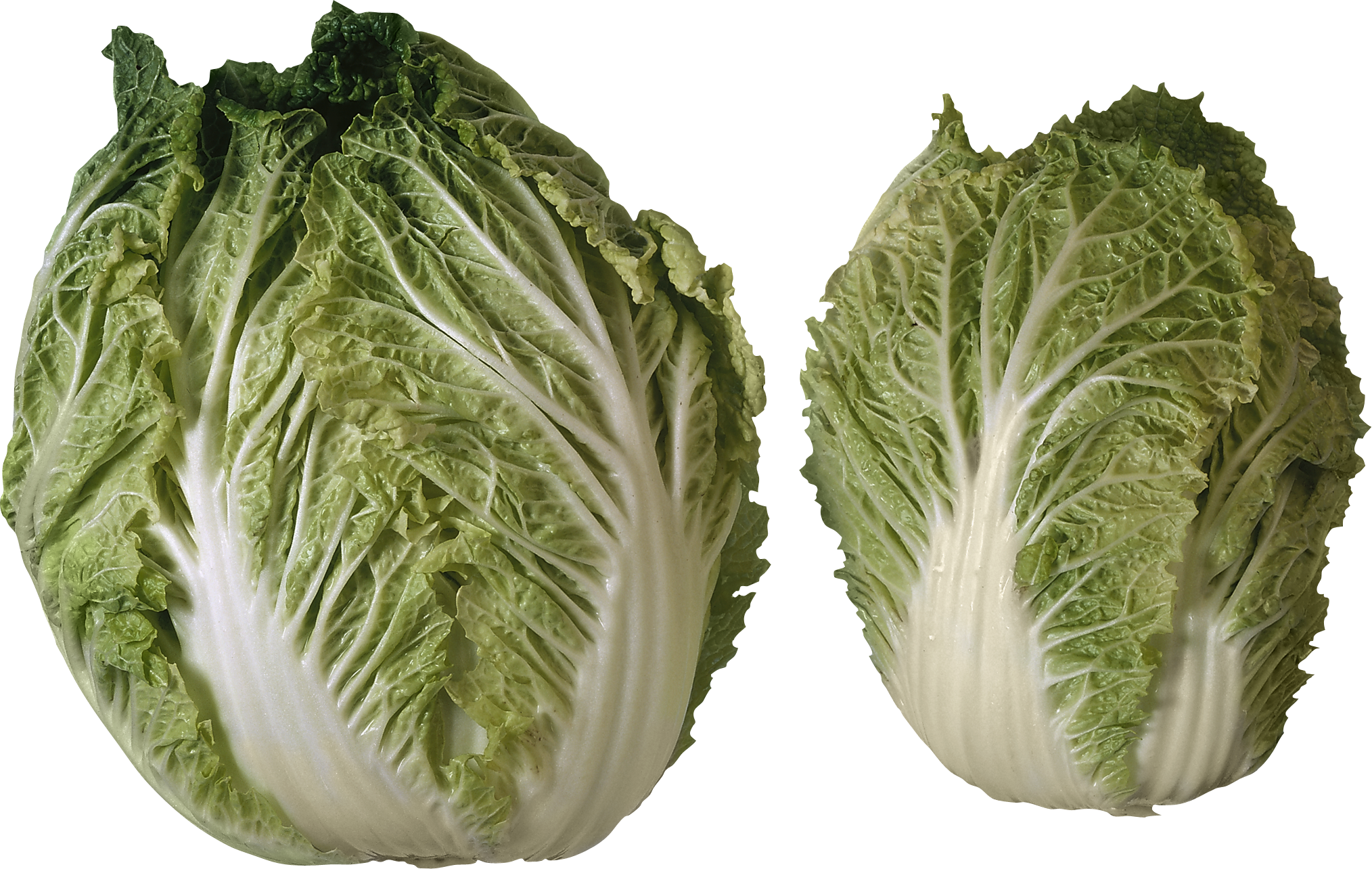 2 Heads Of Lettuce (2028x1284), Png Download