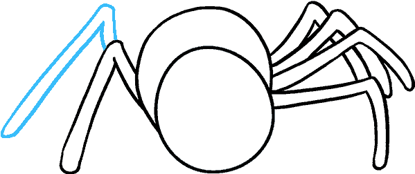 How To Draw Cartoon Spider - Drawing (678x600), Png Download