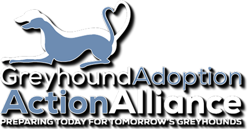 Greyhound Adoption Action Alliance® • Copyright - Home (486x253), Png Download