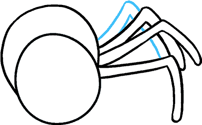 How To Draw Cartoon Spider - Drawing (678x600), Png Download