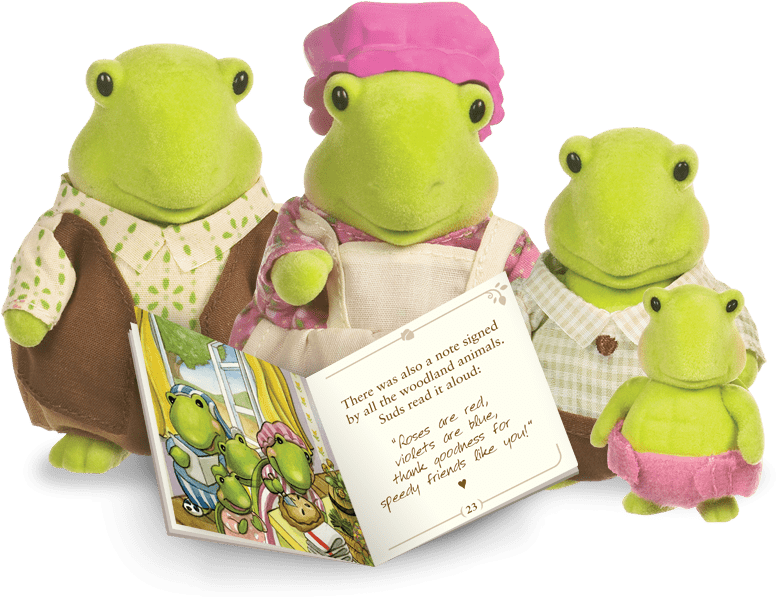 The - Woodzeez - The Tidyshine Turtle Family With Storybook (900x660), Png Download