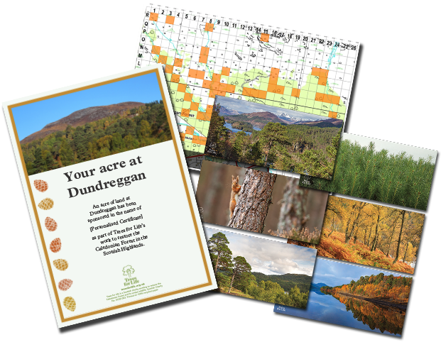 Woodland On The Estate And Provide Homes For Animals - Acre (766x524), Png Download