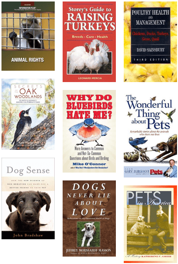 Pets & Animals - Do Bluebirds Hate Me?: More Answers Bout Birds And (436x579), Png Download