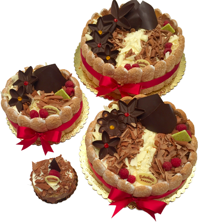 Tiramisu (400x449), Png Download