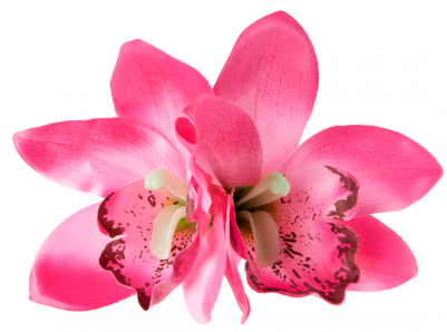 Lady Luck's Boutique Gigi Double Orchid Hair Clip Pink - Barrette (400x400), Png Download
