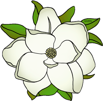 State Flower Of Mississippi - Magnolia Clipart (360x335), Png Download
