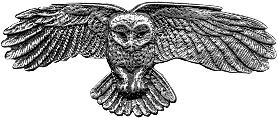 Hair Clip - Hair Clip | Barrette | Owl (600x283), Png Download