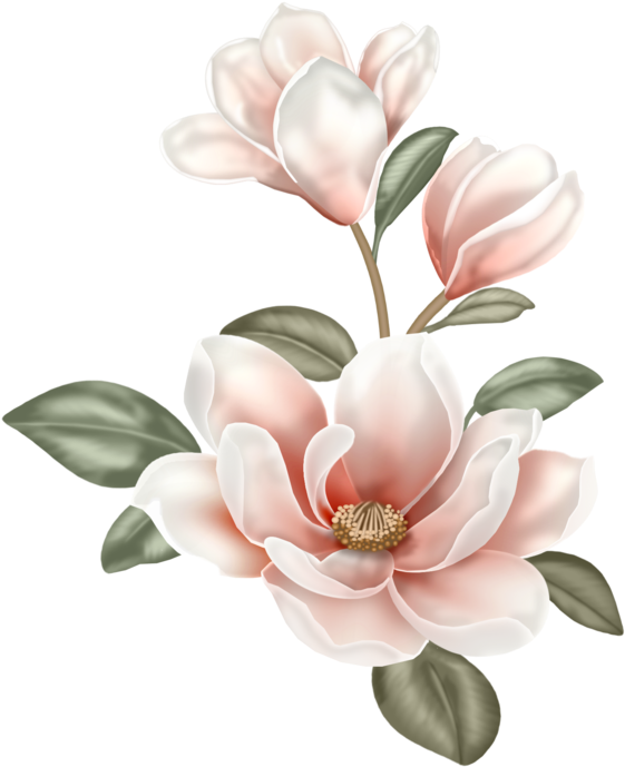 Tubes Fleurs - Flower Clip Art Boho (580x700), Png Download