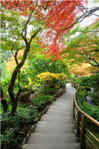 Red Autumn Trees Down Pathway - Butchart Gardens (450x500), Png Download
