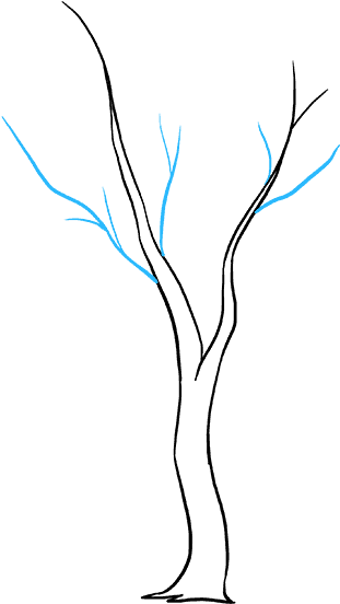 How To Draw Fall Tree - Fall Tree (680x678), Png Download