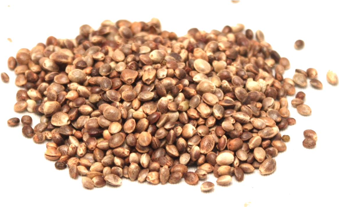 Hemp Seeds Png Picture - Hemp Oil (1191x712), Png Download