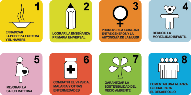 8 Goals United Nations (626x311), Png Download