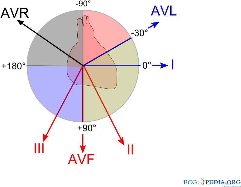 Ecg Lead Angulation - Ecg Heart Axis (1000x750), Png Download