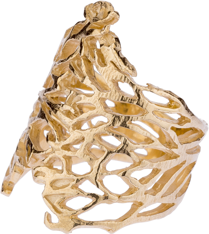 Thorn Bush Rings - Ring (1024x1024), Png Download