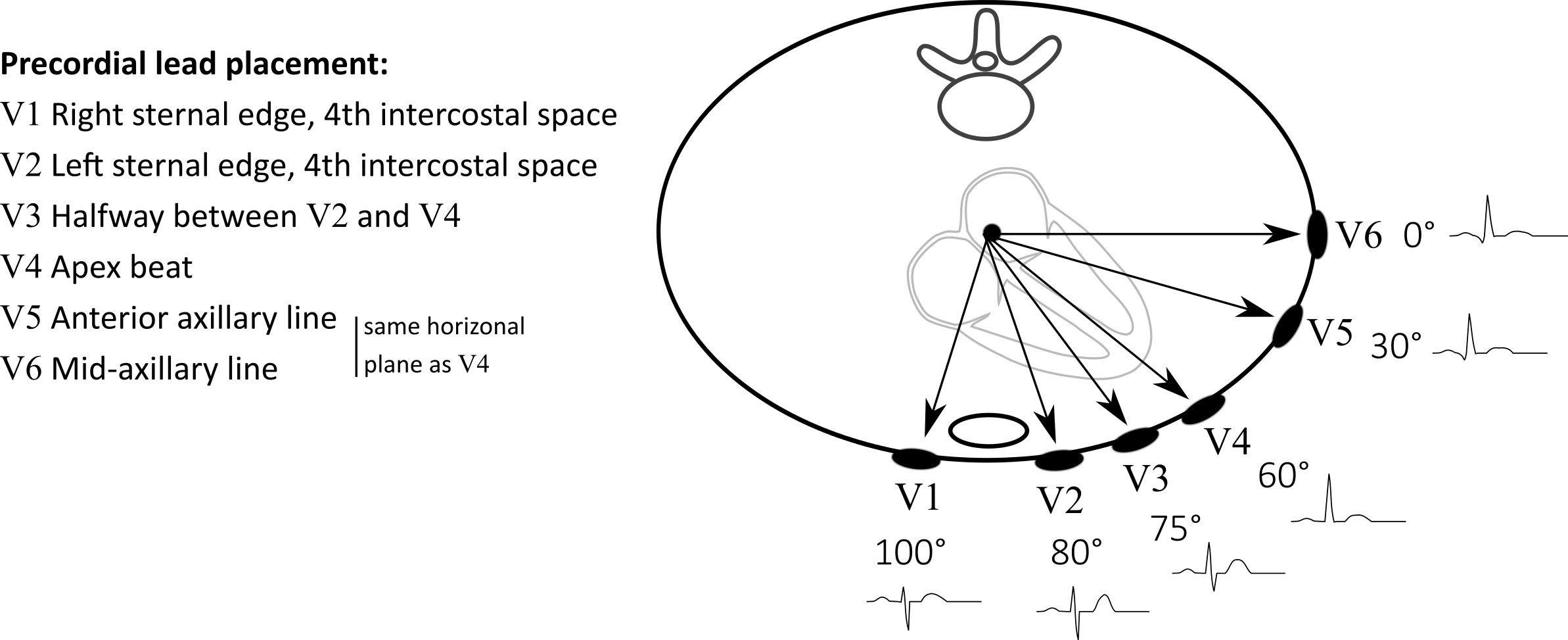 Http - //www - Nataliescasebook - Leads - Circle (2386x973), Png Download