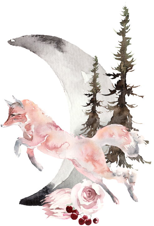 Creative Fox Diseño Png Transparente Acuarela - Watercolor Painting (1024x1024), Png Download