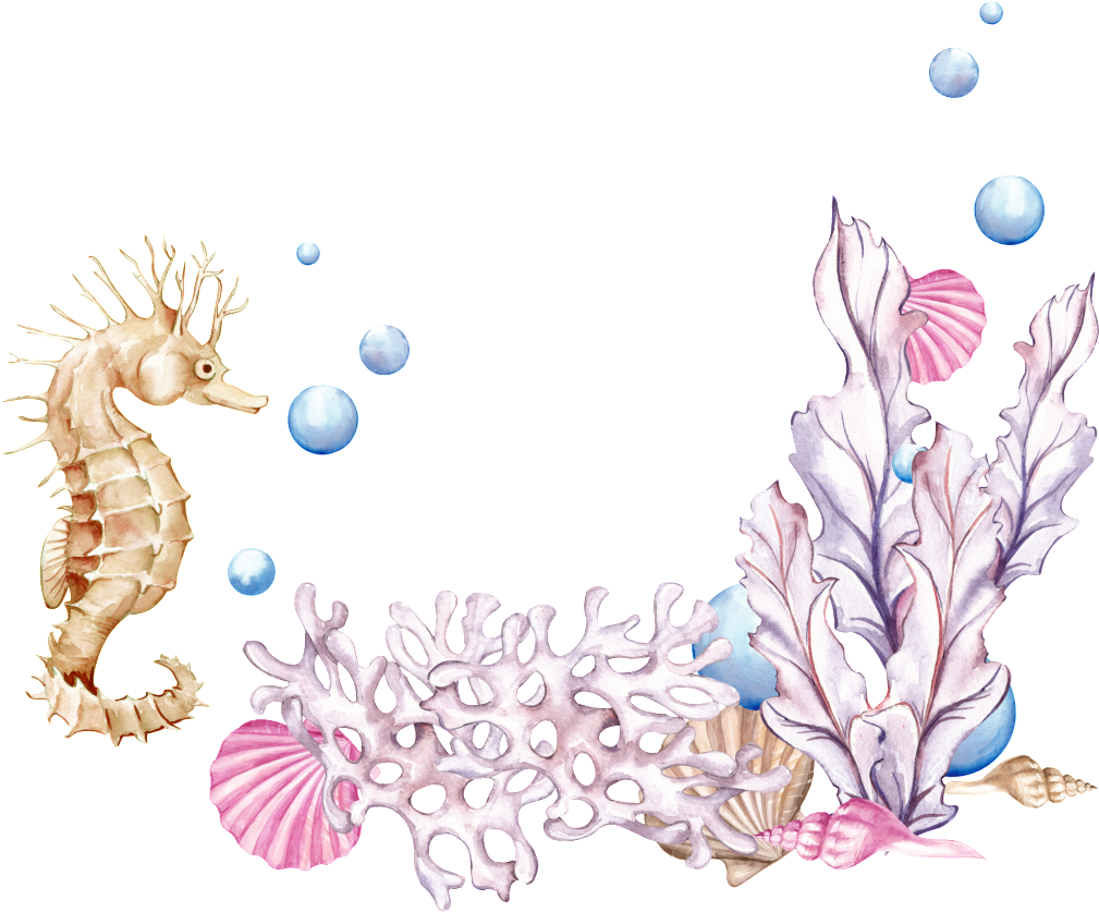 素材 Png 海洋 (1024x836), Png Download