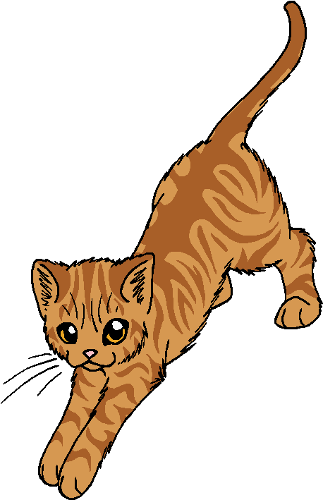 Hawk Swoop - Warrior Cats Broken Shadow (561x789), Png Download