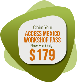 How Much Does It Cost - Mexico (354x365), Png Download