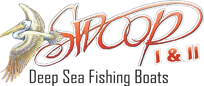 Swoop (700x295), Png Download