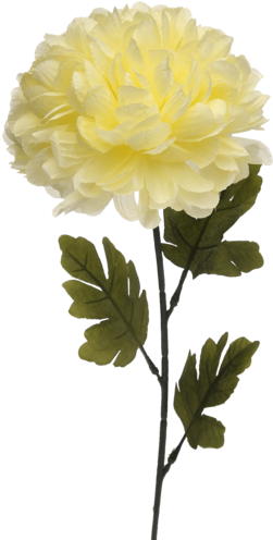 Single Ball Mum Artificial Flower Stem - Flower With Stem Transparent (340x510), Png Download