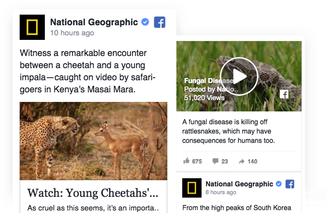 Aggregate And Display Social Media Feeds From Facebook, - Red Wolf (674x425), Png Download