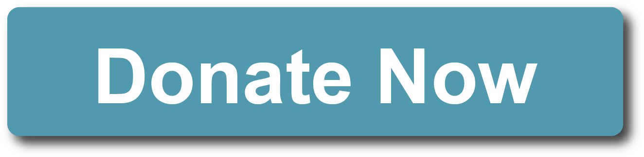 Picture - Donate Now (1398x386), Png Download