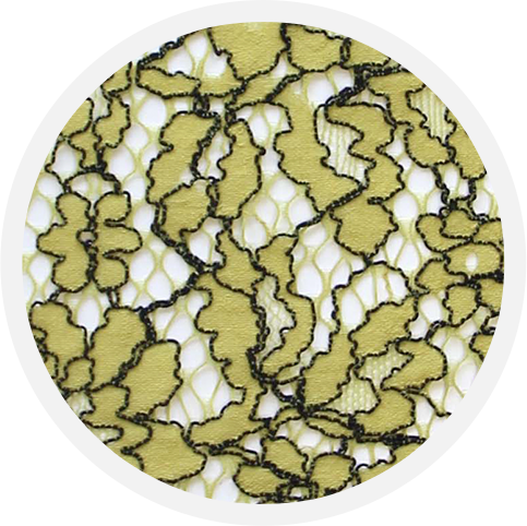Yellow Lace Angela - Circle (483x482), Png Download