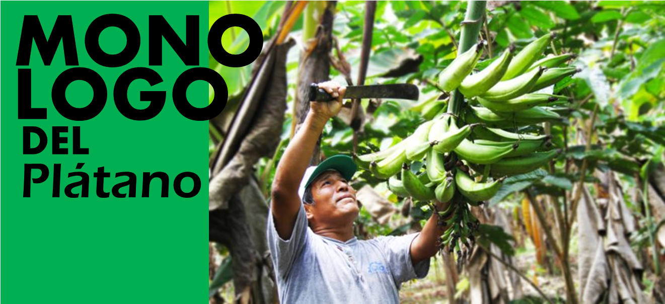 Monologo Del Platano - Junta De Castilla Y Leon (1386x653), Png Download