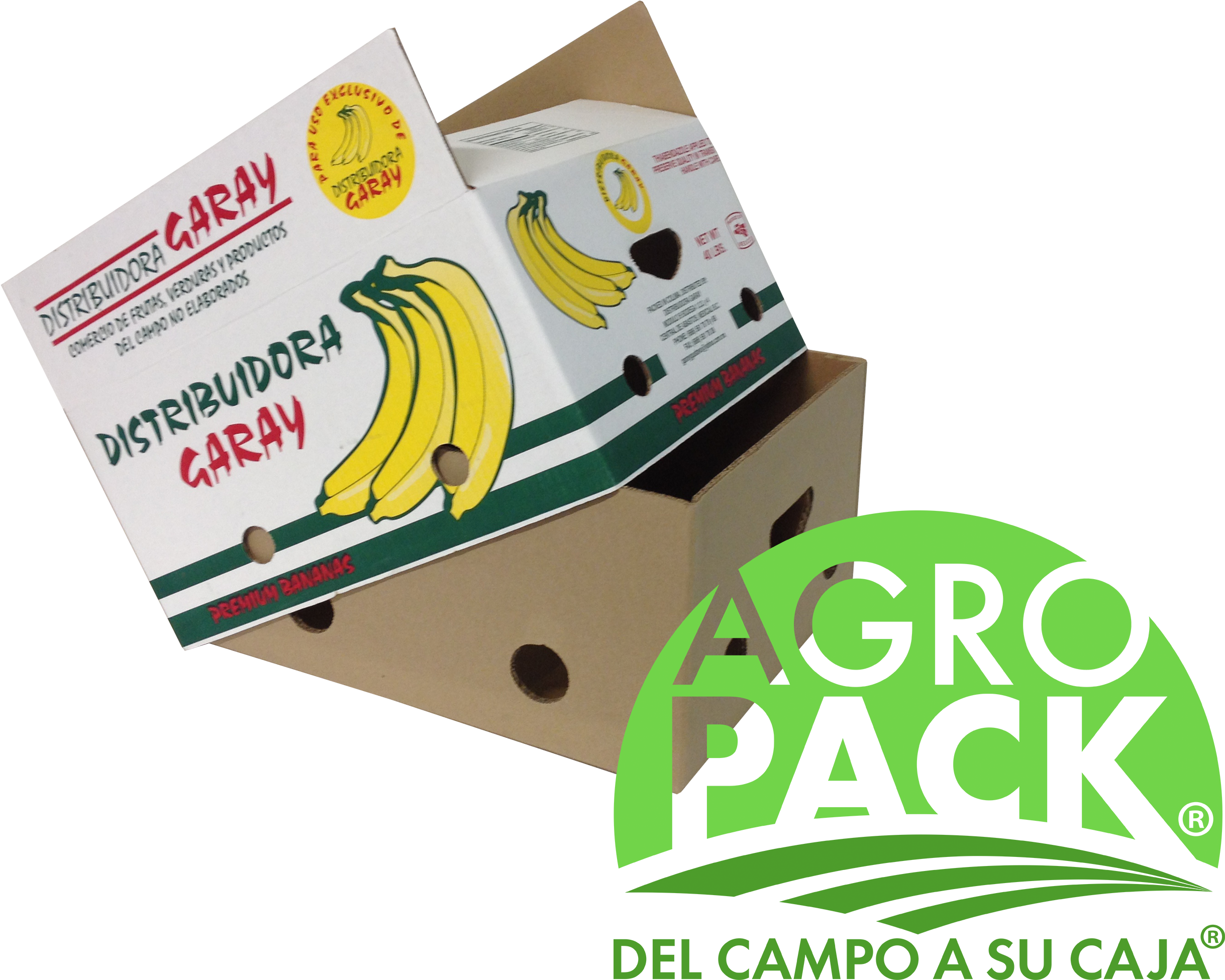Alt Alt Alt Alt - Cajas De Papas De Carton (3264x2448), Png Download