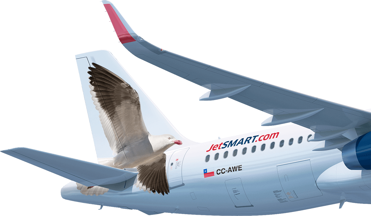 Y Presentes En Toda La Costa De Nuestro País, El Airbus - Avion Jetsmart Png (1200x699), Png Download