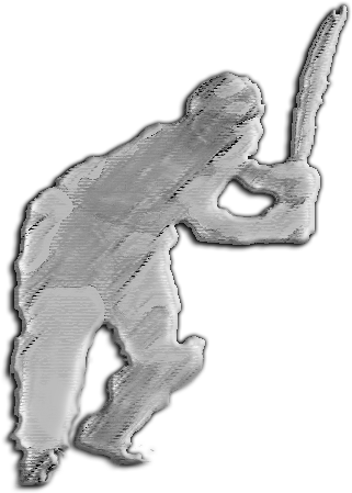 Batting Shadow Figure - Shadow Figure Png (339x459), Png Download