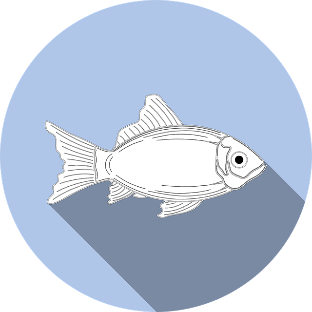 Vector Fish Icon Png (640x640), Png Download