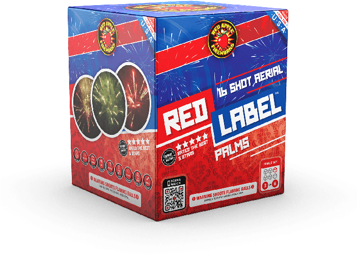 Chrysanthemum (700x560), Png Download