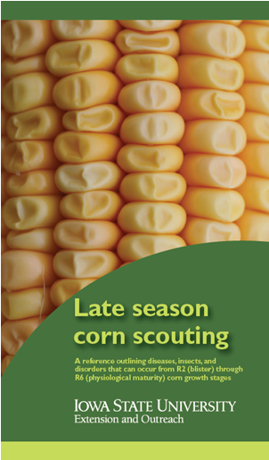 European Corn Borer - Food (400x514), Png Download