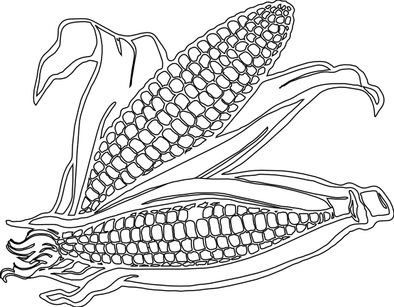 Free Corn Clipart Coloring Pages - Corn Black And White Clipart Transparent (555x433), Png Download