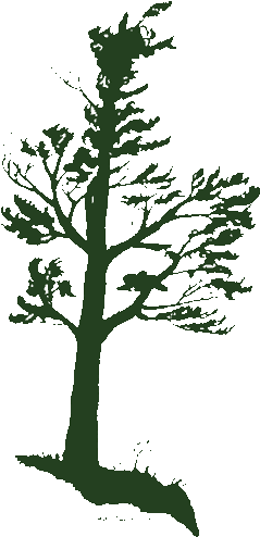 Why Thickson's Woods - Thickson Road South (300x533), Png Download