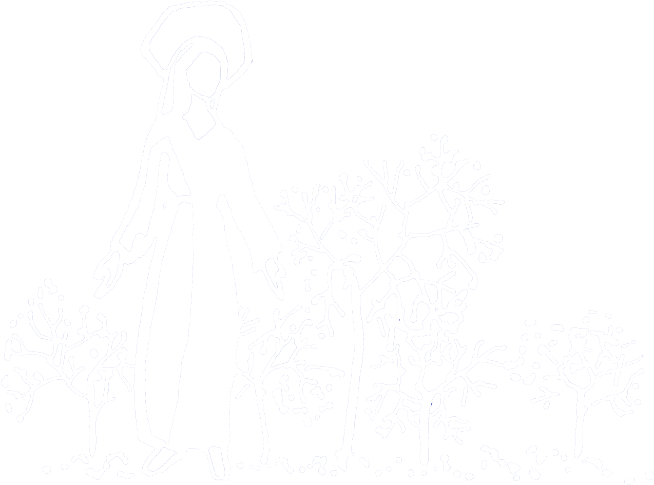 Our Lady Of The Woods Parish - Our Lady Of The Woods Catholic Church (1390x985), Png Download