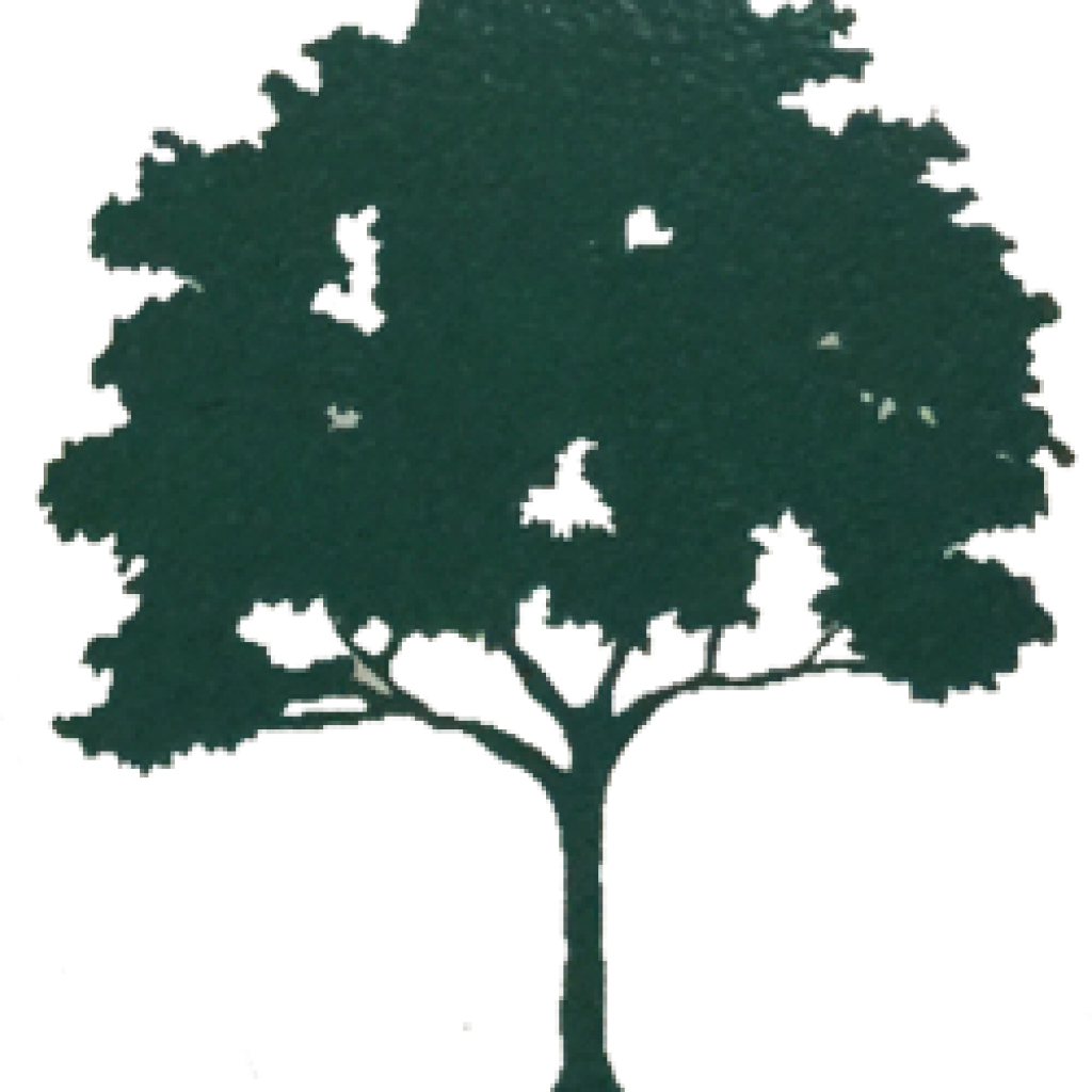 James M - Woods - African Tree Clip Art (1024x1024), Png Download