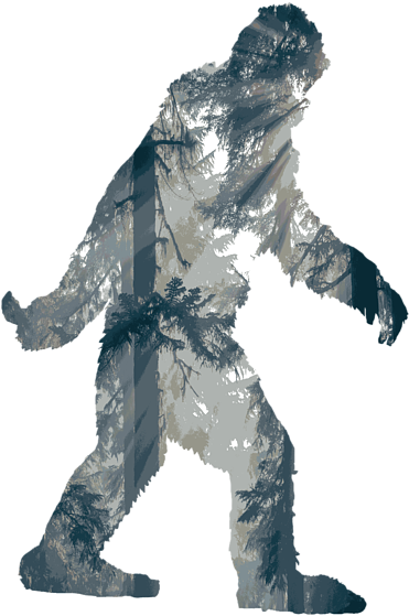 Bleed Area May Not Be Visible - T-shirt (500x700), Png Download