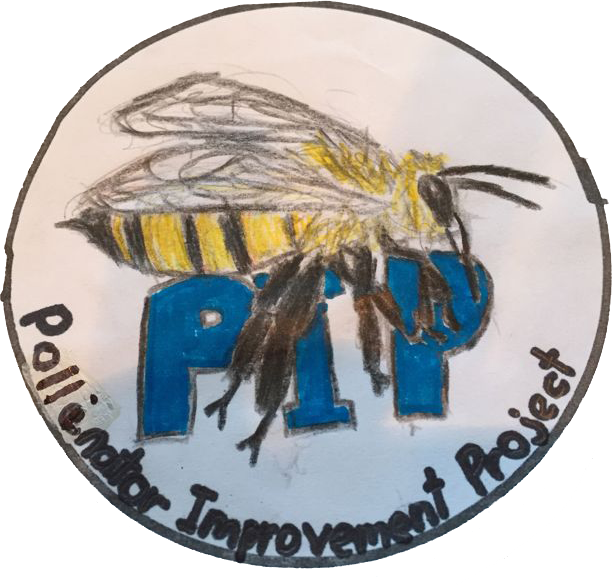 Honeybee (612x585), Png Download