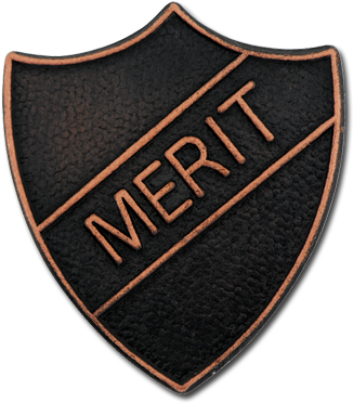 Merit Metal Shield Badge - Emblem (572x541), Png Download