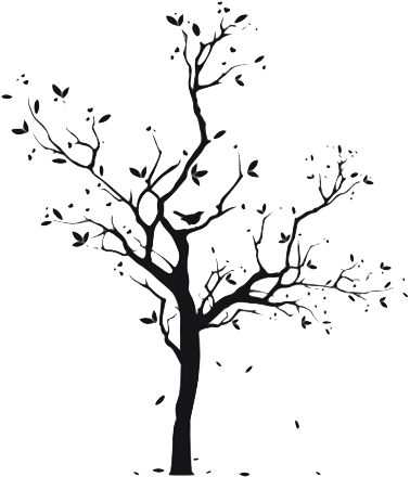 Png Trees Without Leaves (417x532), Png Download