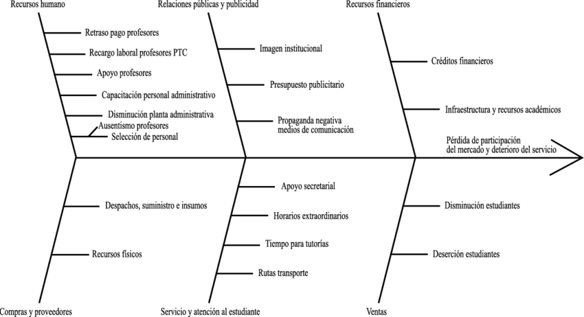 Identificación Del Problema Por Causa-efecto - Diagramas De Causa Y Efecto De Un Problema De La Biologia (850x462), Png Download