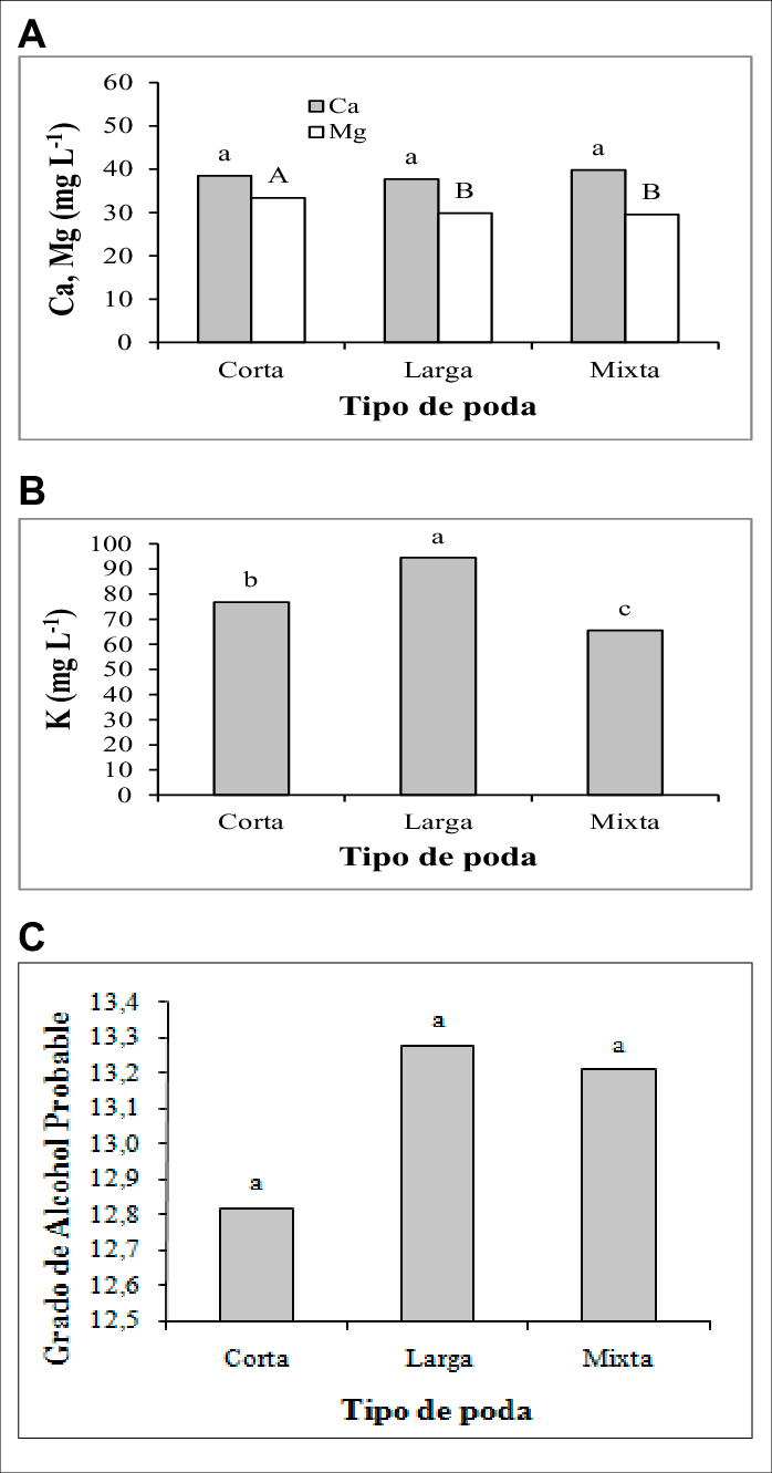 Efecto De Diferentes Tipos De Poda Sobre - Cd4 (698x1331), Png Download