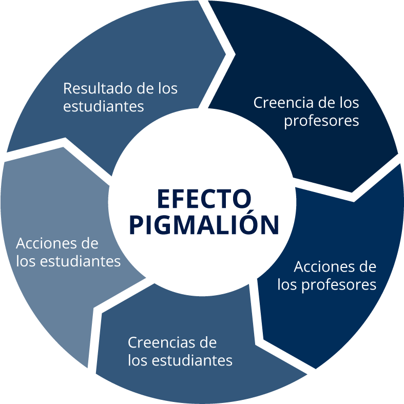 Efecto Pigmalión - Digital Asset Lifecycle Management (800x800), Png Download