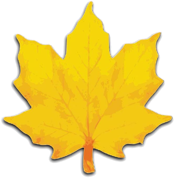 Sycamore Strategies Public Diplomacy, Government Relations - Clip Art Maple Leaves (668x680), Png Download